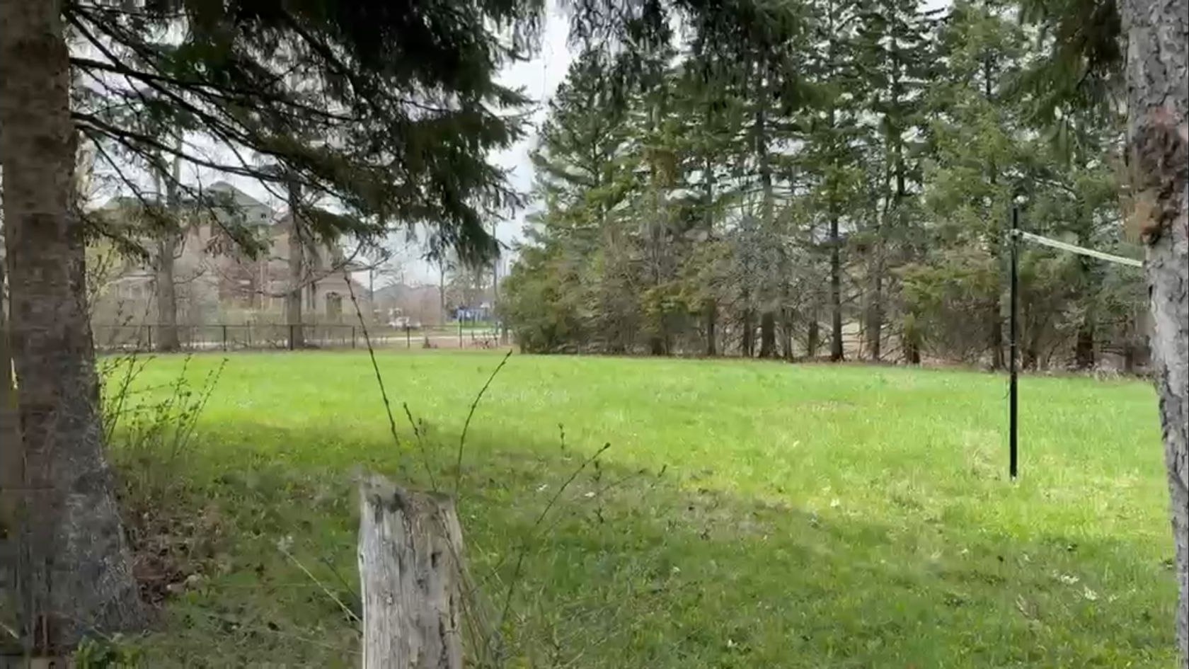 Tree-lined view across the proposed property